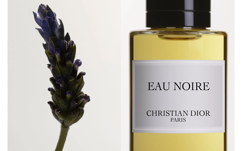 Eau noire on sale dior