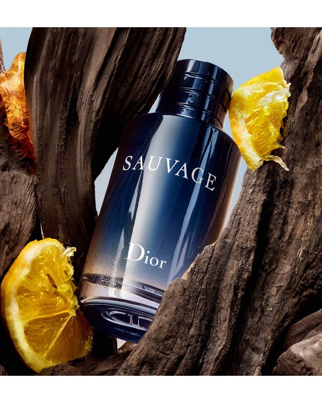 Dior sauvage edt 100 online