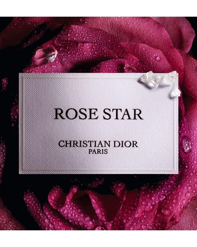 Rose Star | DIOR