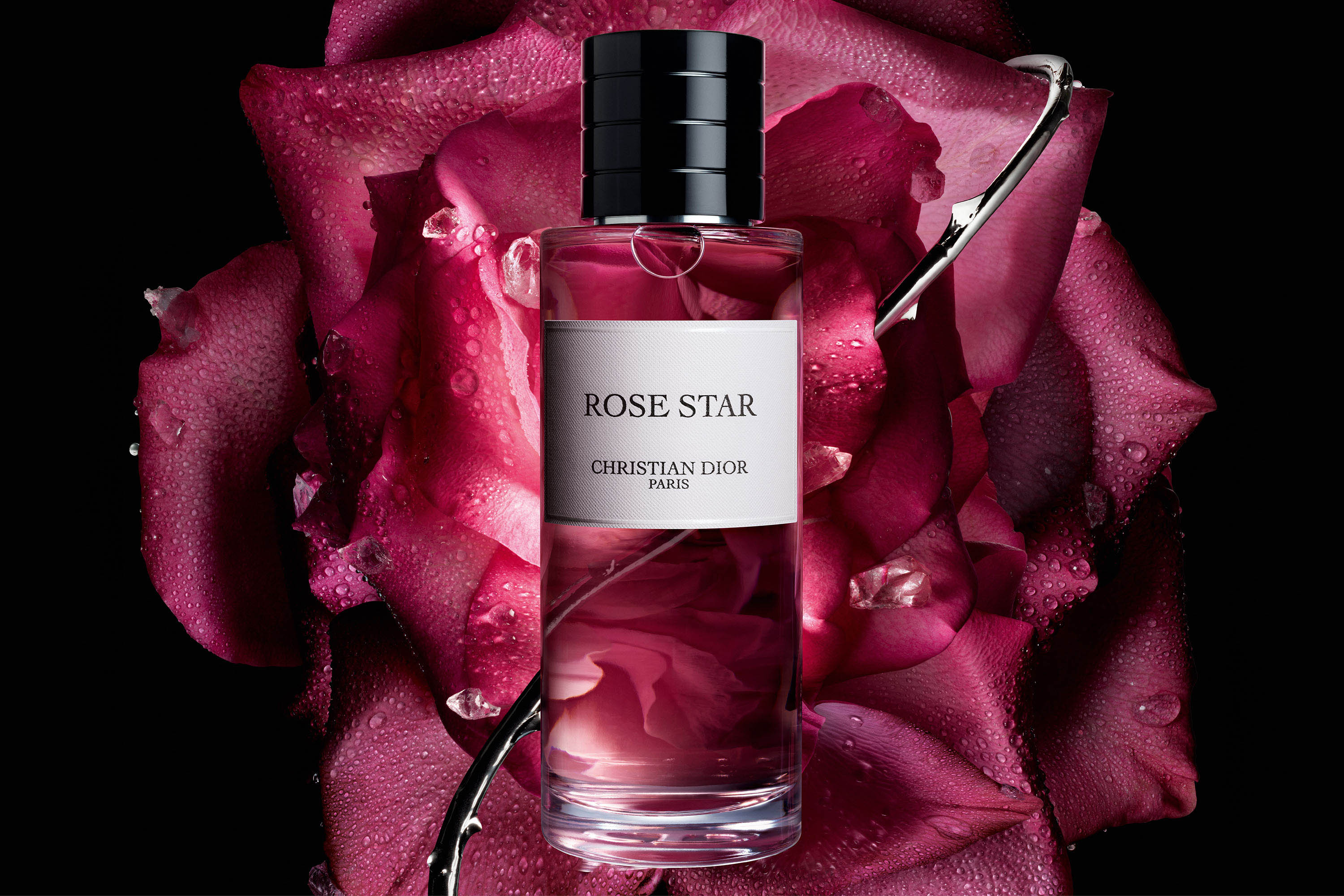 【未使用品】Christian Dior ROSE STAR 香水 100ml Rose Star | DIOR